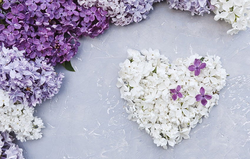 flowers, heart, love, white, heart, flowers, lilac, romantic lavender HD wallpaper