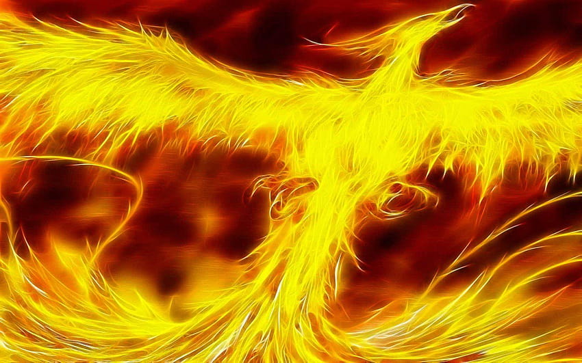 Phoenix Bird Of Fire, dragões e Phoenix renascendo das cinzas papel de parede HD