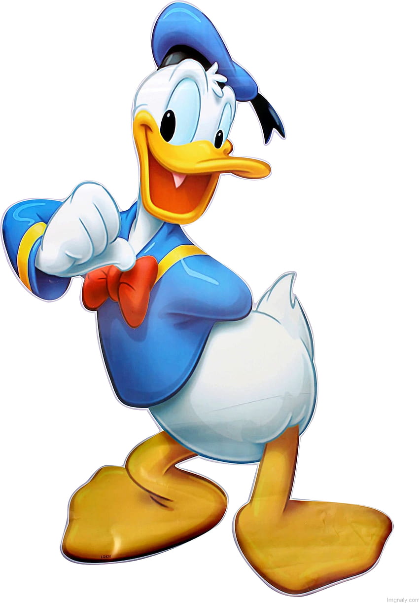 Donald Duck PNG, donald ördek sonbahar HD telefon duvar kağıdı