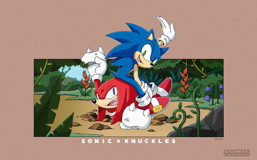 New Official Artwork for February 2021 Focuses On Sonic & Knuckles, sonic vs knuckles HD wallpaper
