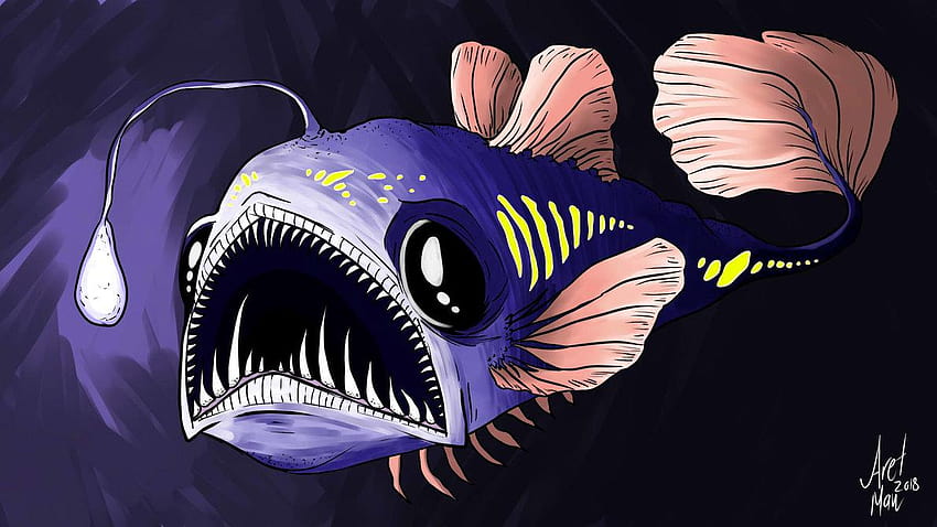 Angler Fish Group, anglerfish HD wallpaper