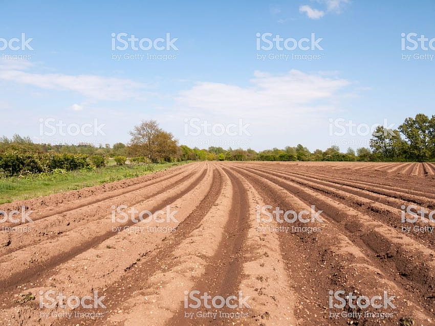 Spring Plowed Field Waiting For Seed To Be Sown And Crops Grown, spring plowing HD wallpaper