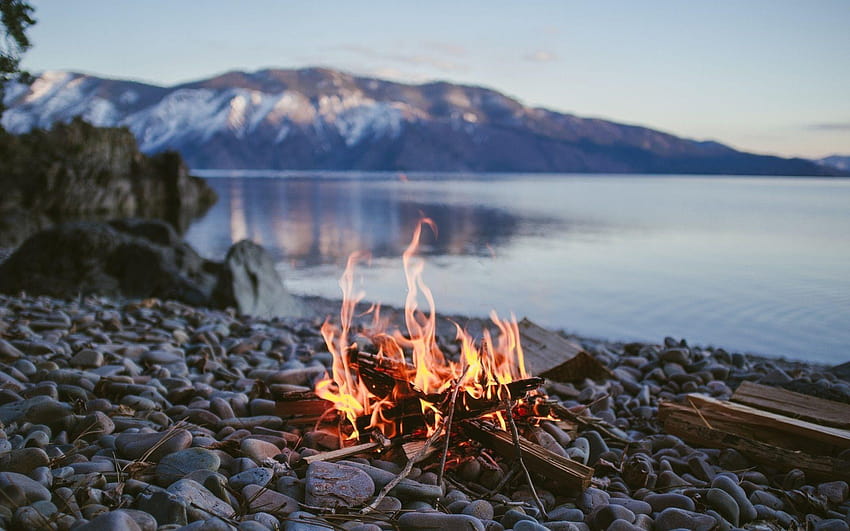 Campfire, camp fire HD wallpaper