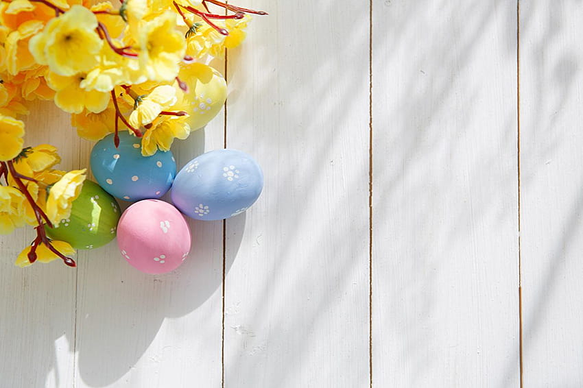 Easter Eggs Branches Templat kartu ucapan Liburan, kartu paskah Wallpaper HD