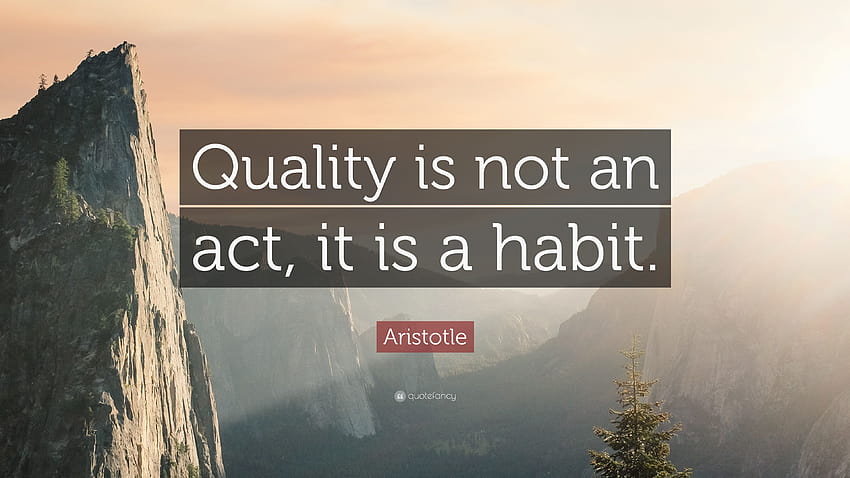 Цитат на Аристотел: „Качеството не е действие, то е навик.“ HD тапет