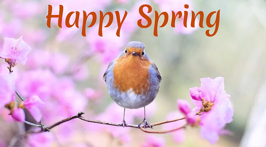 Szczęśliwej Wiosny 2020 Życzy &! Twitterati udostępnia piękne , pozdrowienia i wiadomości na temat początku sezonu wiosennego, szczęśliwego wiosennego dnia Tapeta HD