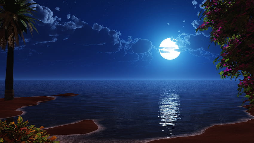 3840x2160 tropical beach, coast, full moon, night, sky, scenery, digital art, u 16:9, , 3840x2160 , background, 5253, scenery night HD wallpaper