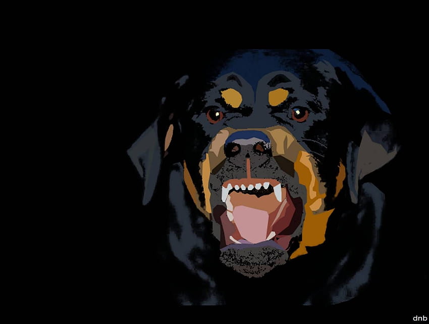 Angry rottweiler HD wallpapers | Pxfuel