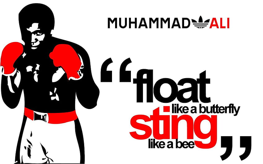 Muhammad Ali, mohamed ali anime HD wallpaper