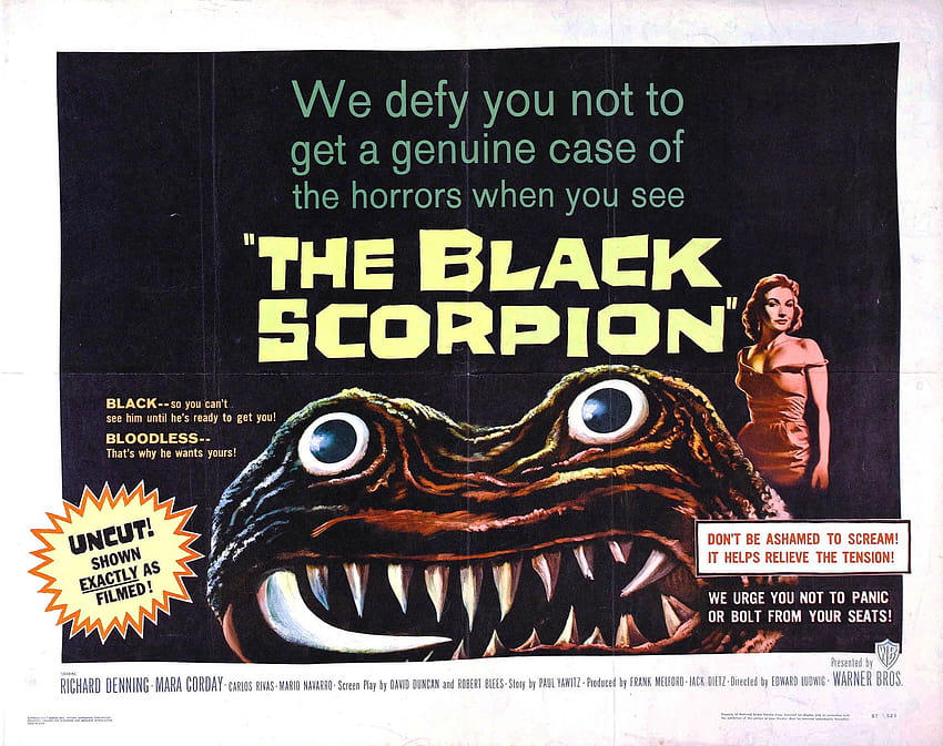 The Black Scorpion HD wallpaper