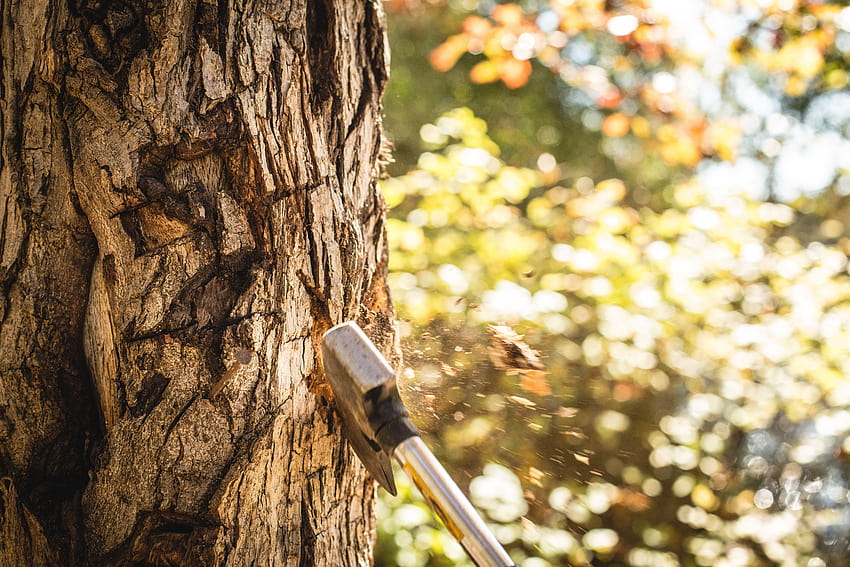 stock of ax, axe, cut a tree, axe wood HD wallpaper