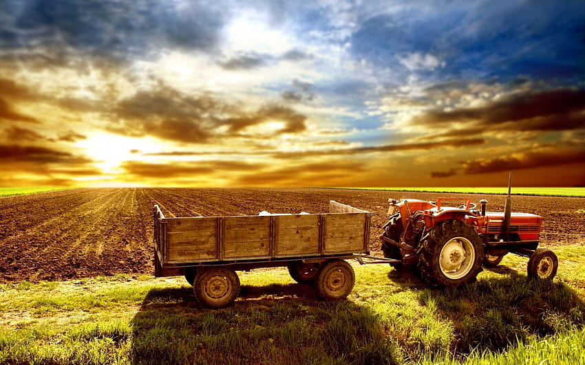 Landwirtschaft und HD-Hintergrundbild