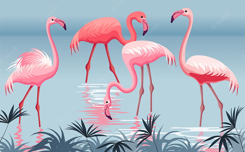 flamingo merah muda Wallpaper HD