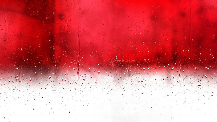Water Drops on Red and White Backgrounds, red splash HD wallpaper