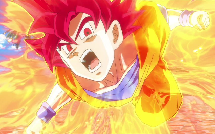 Dragon Ball Ultimate Swipe Super Saiyan God Goku Vs, goku vs beerus Sfondo HD