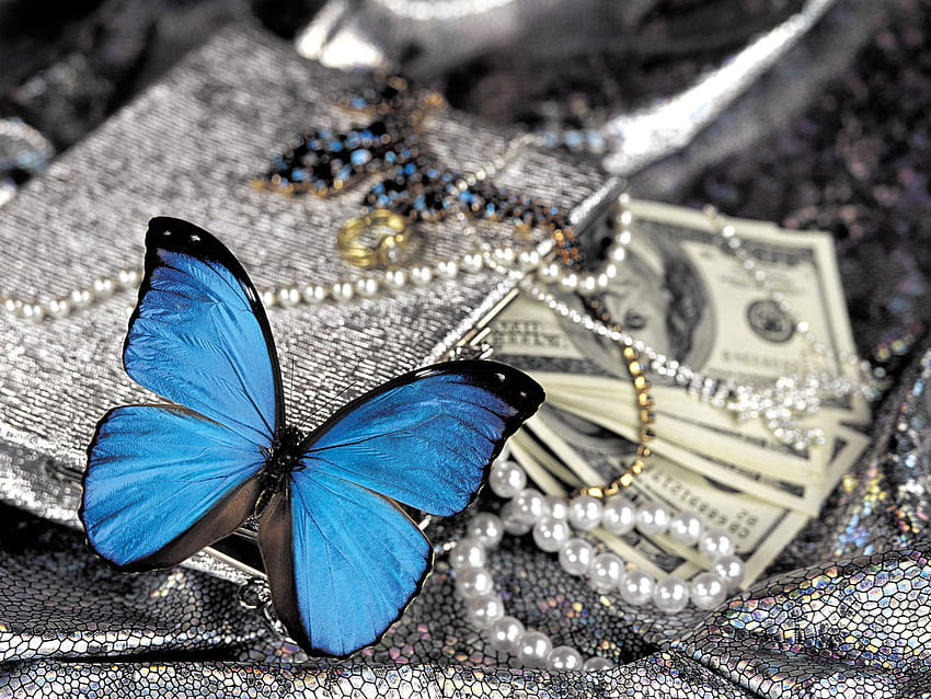 Jóias de pérola de dinheiro borboleta azul close-up papel de parede HD