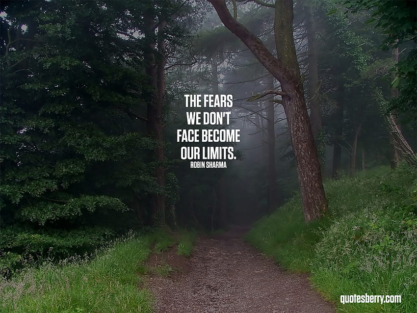 The fears we don't face become our limits. HD wallpaper