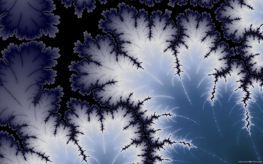 Winter leaf, fractals winter HD wallpaper