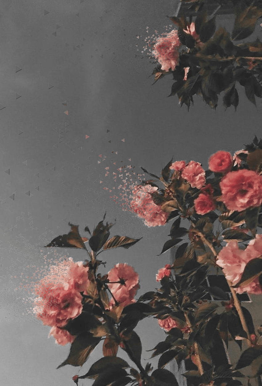 цвете естетическо каваи лято небесно синьо розово, естетическо цвете и небе HD тапет за телефон