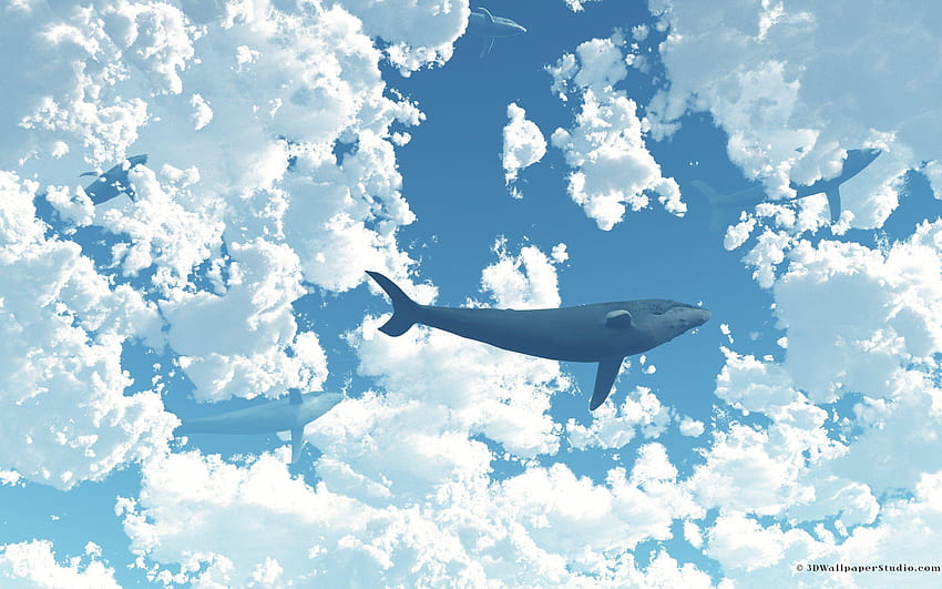 Himmelswale HD-Hintergrundbild