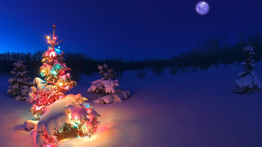 2806451 1920x1080 christmas tree snow christmas lights, christmas village night HD wallpaper