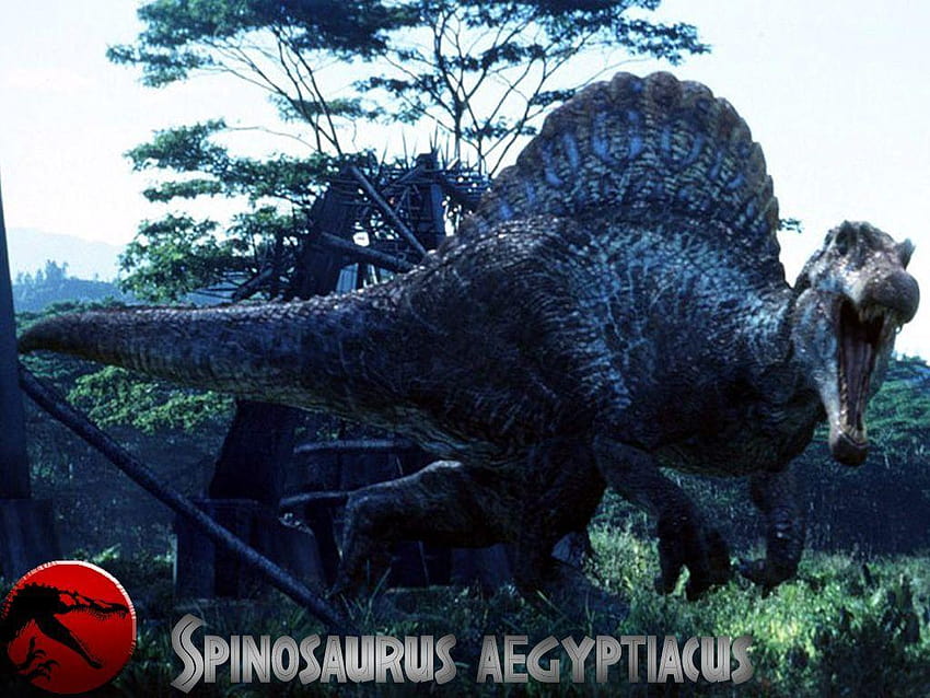 Jurassic Park Dinozorları 1024×768 Jurassic Park 3, gerçek spinosaurus HD duvar kağıdı