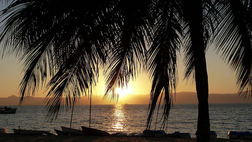 Palm trees, boats, morning, sunrise, Lake Malawi 3840x2160 HD wallpaper