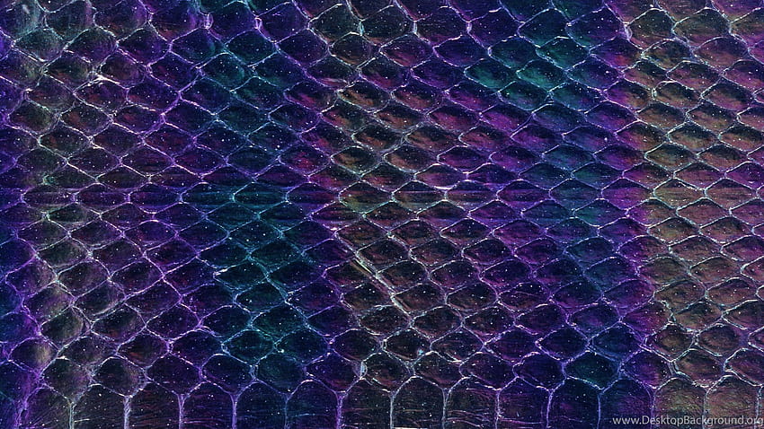 Snake Skin Backgrounds Forty one Backgrounds, purple snake HD wallpaper