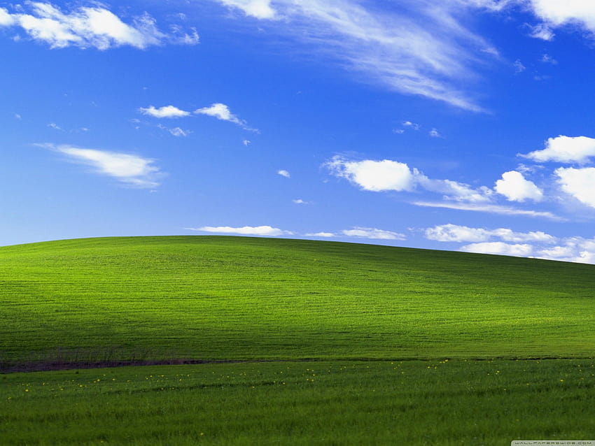 Windows XP Ultra Backgrounds for U TV, 43 HD wallpaper | Pxfuel