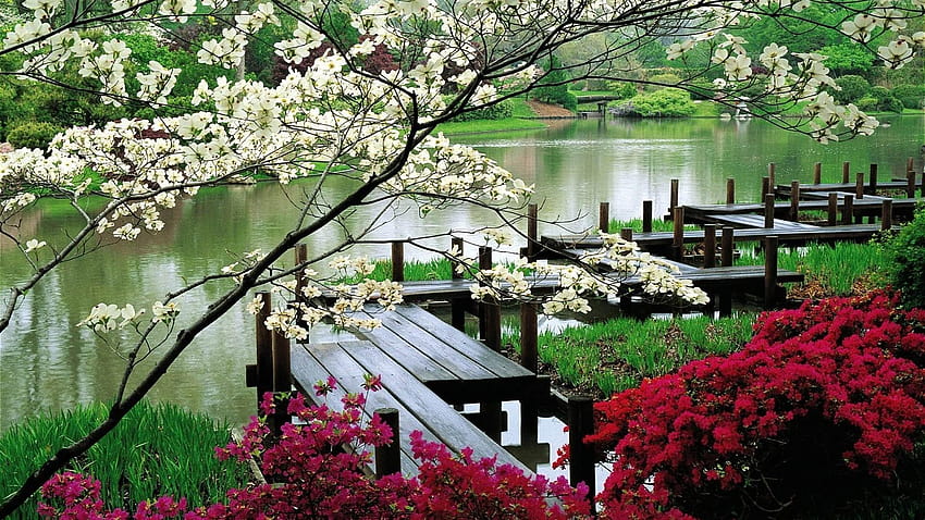 Giardino zen giapponese, giardino zen autunnale Sfondo HD