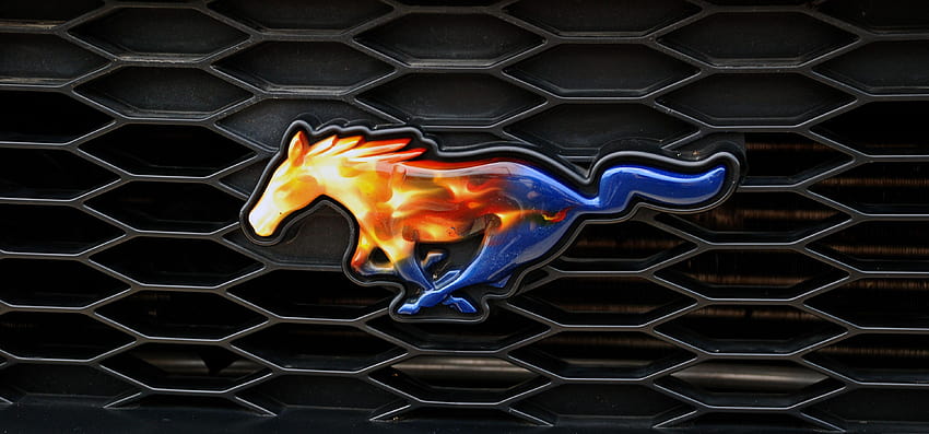🔥 Download Ford Mustang Logo Wallpaper by @cwall12 | Ford Mustang Logo  Wallpaper, Ford Mustang Backgrounds, Mustang Logo Wallpaper, Ford Mustang  Wallpaper