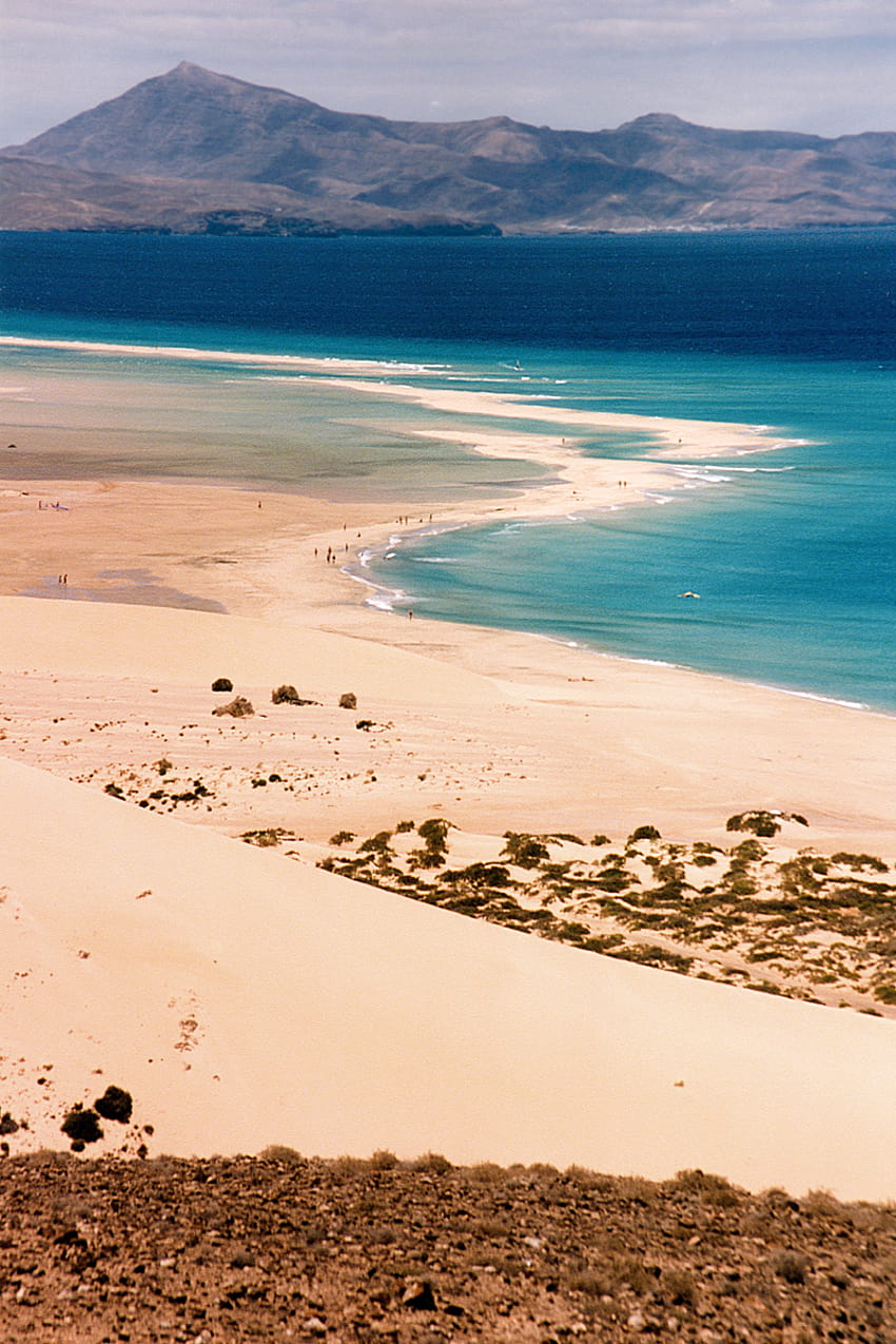 ファイル:Fuerteventura1990.jpg HD電話の壁紙