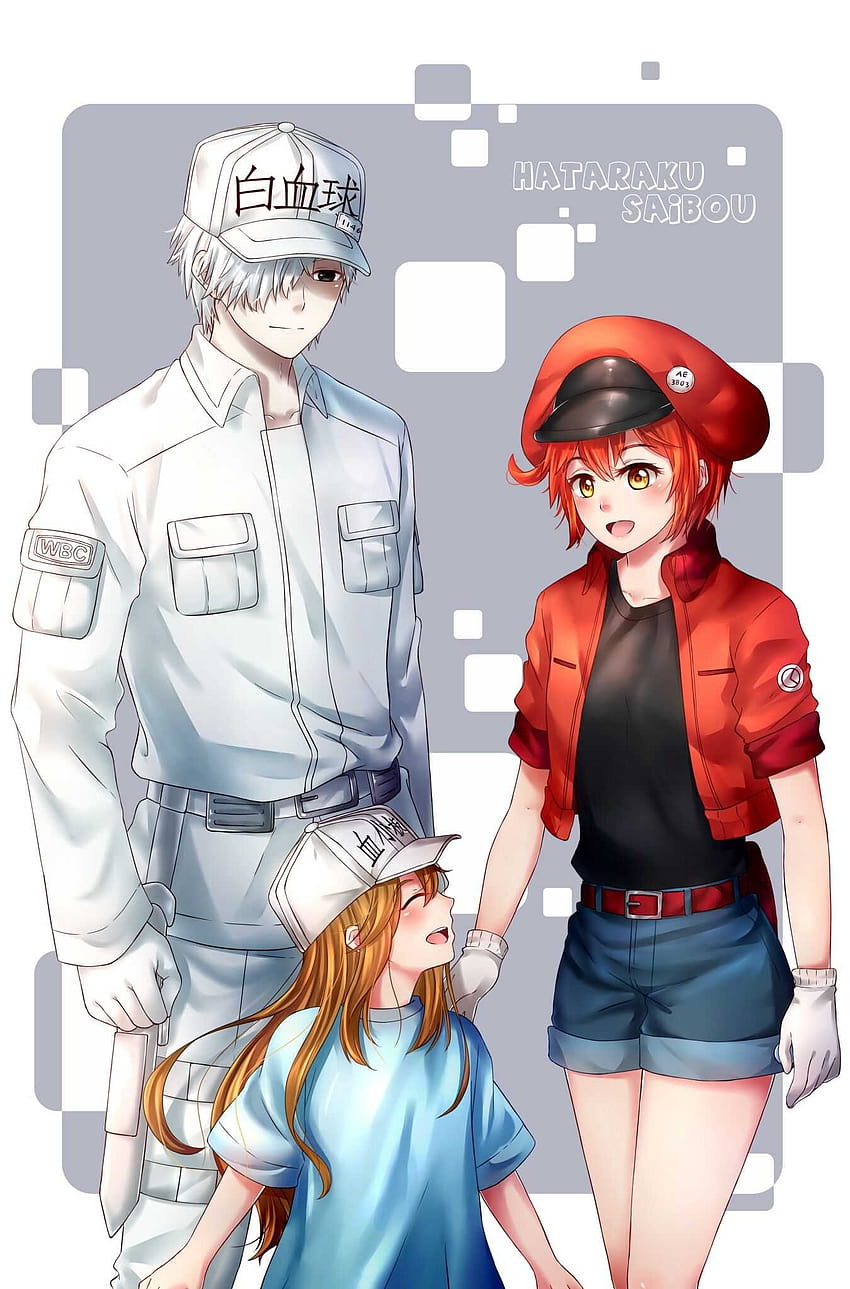 Anime Red Blood Cell GIF  Anime Red Blood Cell Cells At Work  Discover   Share GIFs