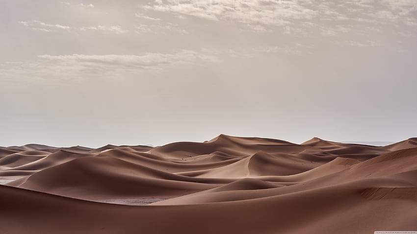 Sand Desert Dunes Ultra-Hintergründe für U-TV: & UltraWide & Laptop: Multi Display, Dual & Triple Monitor: Tablet: Smartphone HD-Hintergrundbild