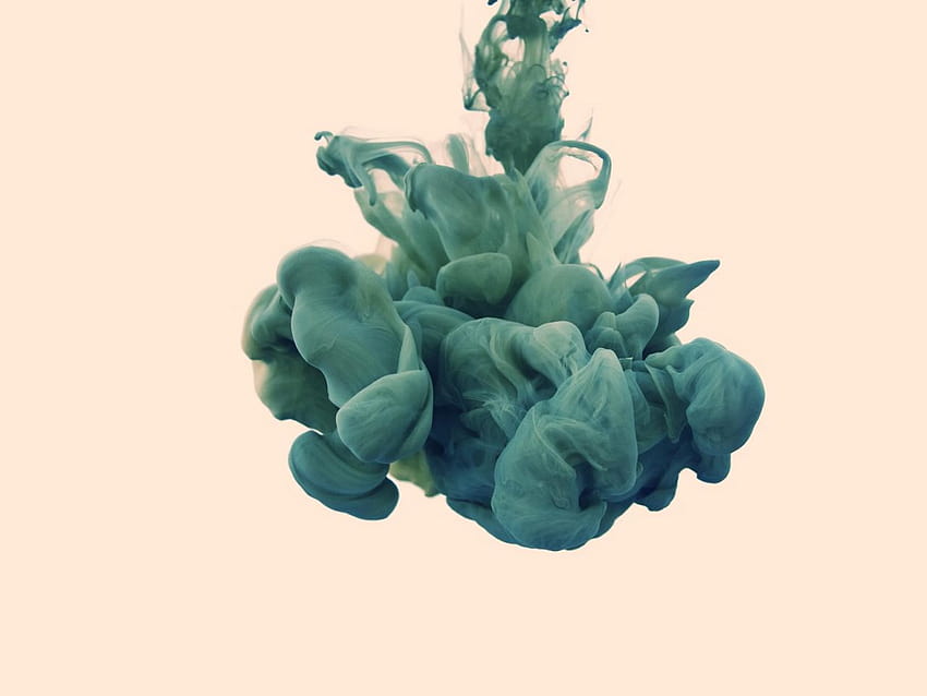 Flowerpot, Plant, Ink, Watercolor Painting 4:3 , 1280x960, kale plant HD wallpaper