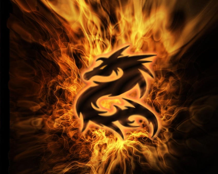 Inferno, cool dragons symbols HD wallpaper