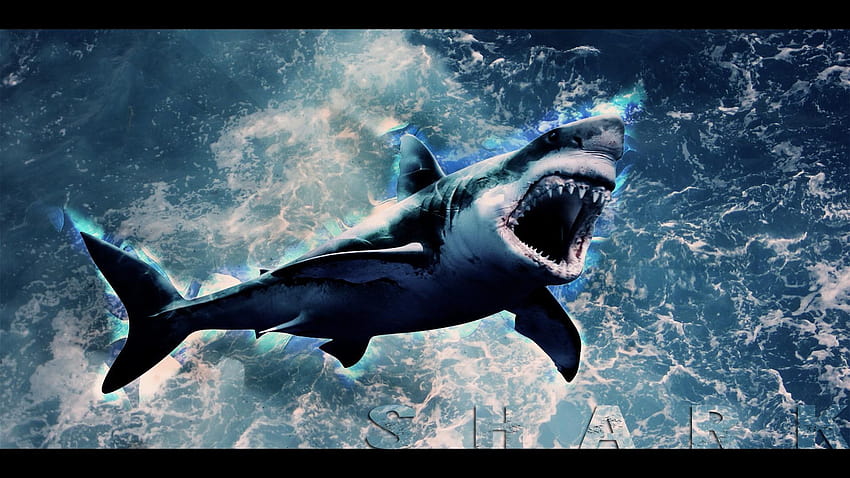 Iphone Pretty Shark, scary megalodon HD wallpaper