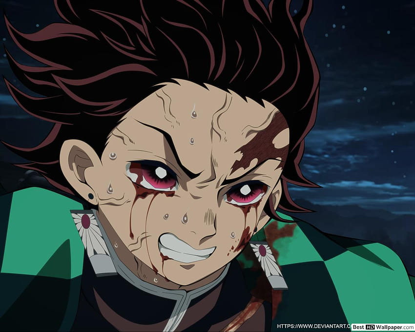 Demon Slayer, Kimetsu no Yaiba Tanjirou Kamado, demon slayer funny HD ...