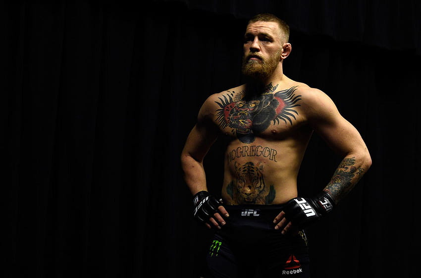 Conor McGregor High Quality, conor mcgregor full computer HD wallpaper