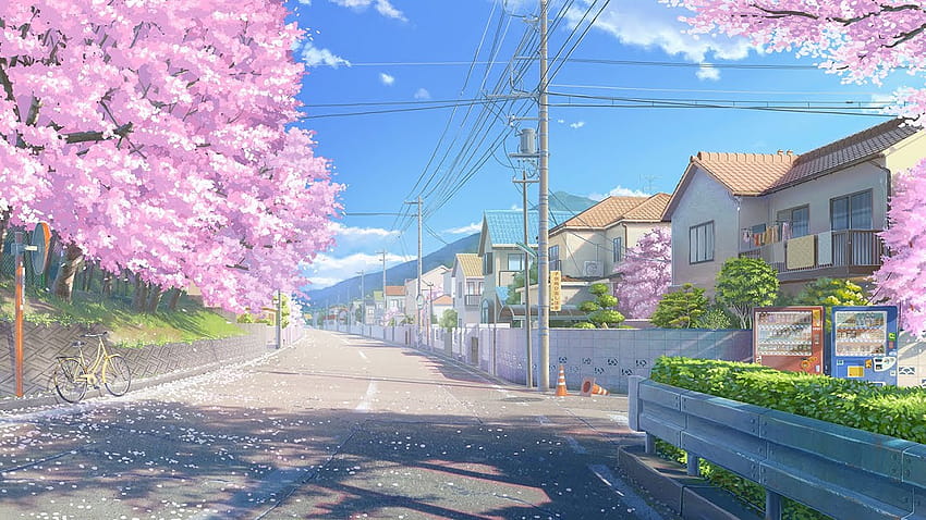 cherry blossom. [lofi / jazzhop / chill mix], lofi spring HD wallpaper