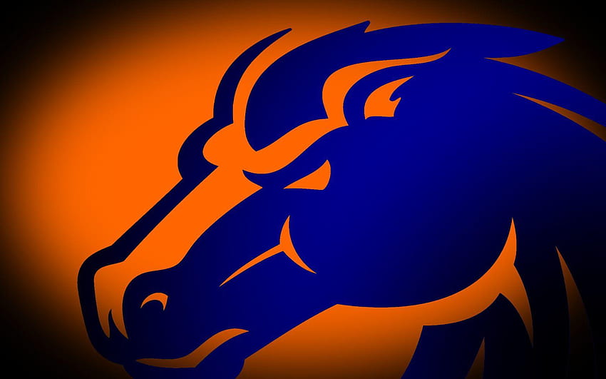 Boise State, espn college football HD wallpaper | Pxfuel