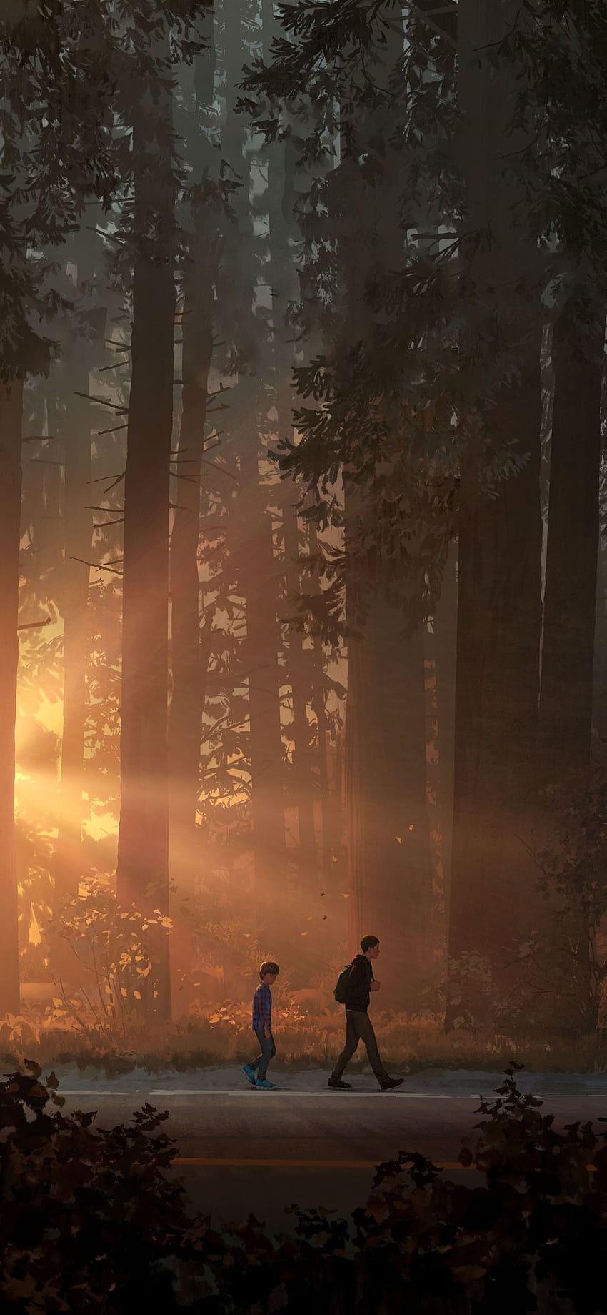 Life is Strange 2, arte del juego, bosque, rayos de sol 1242x2688 iPhone 11 Pro/XS Max fondo de pantalla del teléfono
