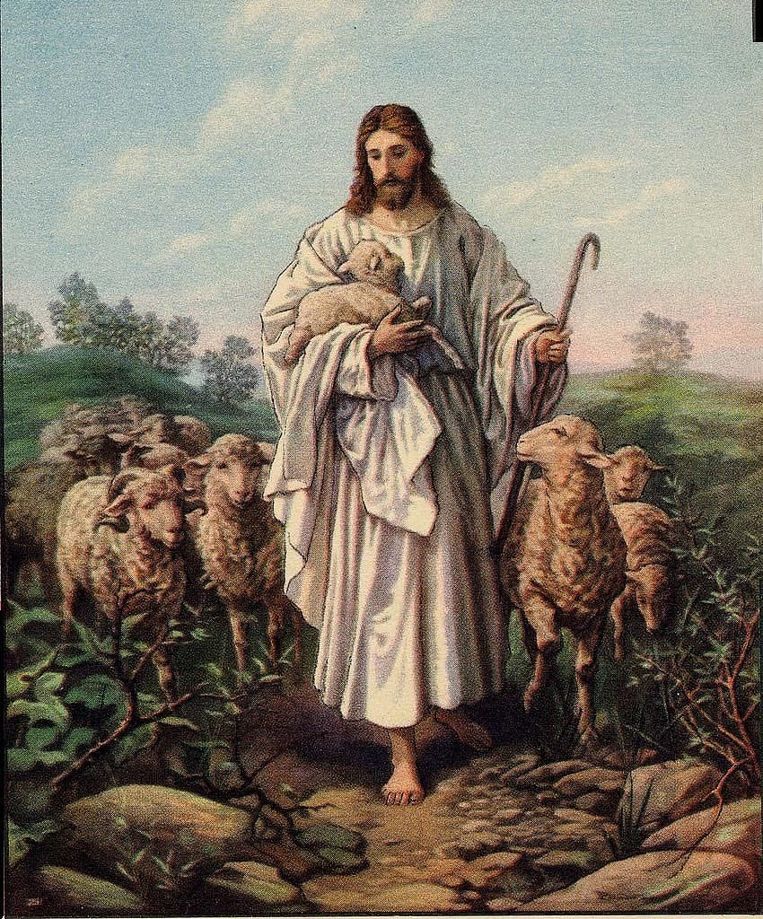 イエス：私の良い羊飼い、羊と一緒のイエス HD電話の壁紙