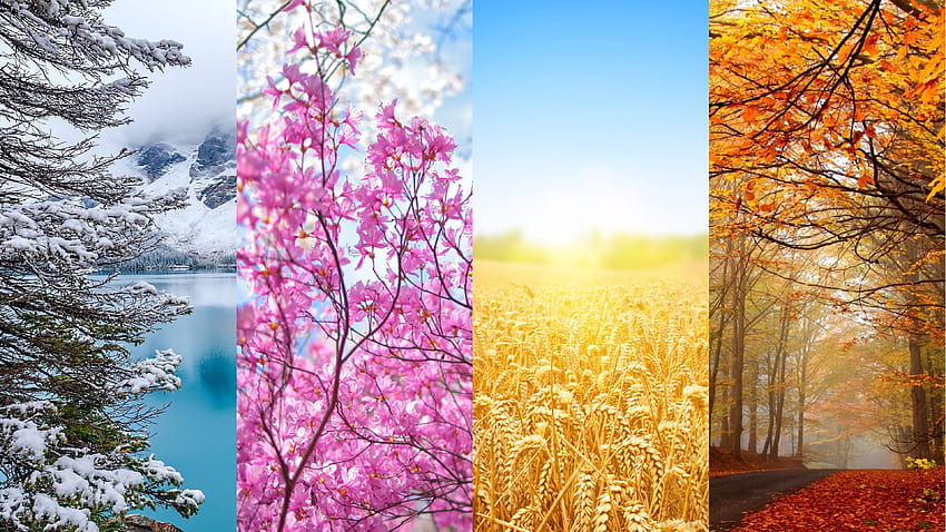 dört mevsim, mevsimler, kış, ilkbahar, sonbahar, yaz, çözünürlük 3840x2160. Yüksek Kalite, kış ilkbahar yaz sonbahar HD duvar kağıdı