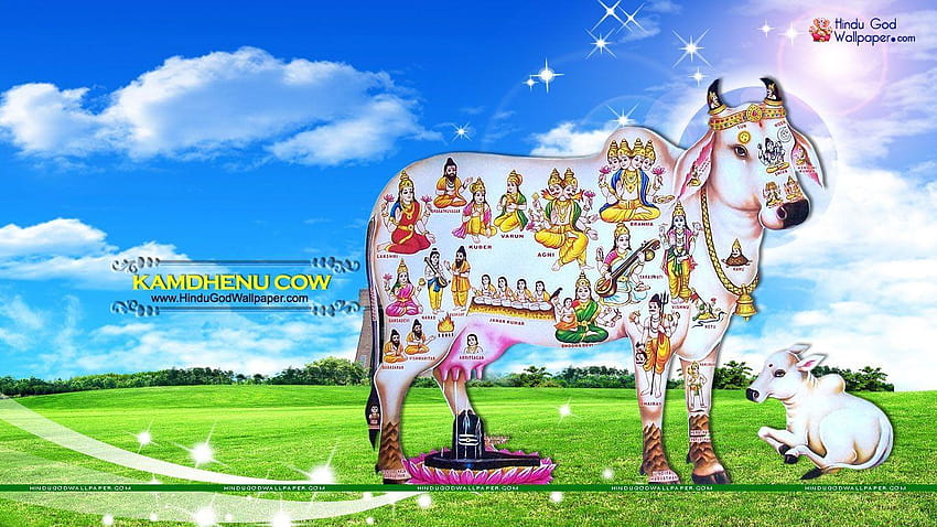 Vaca Kamdhenu, & fondo de pantalla