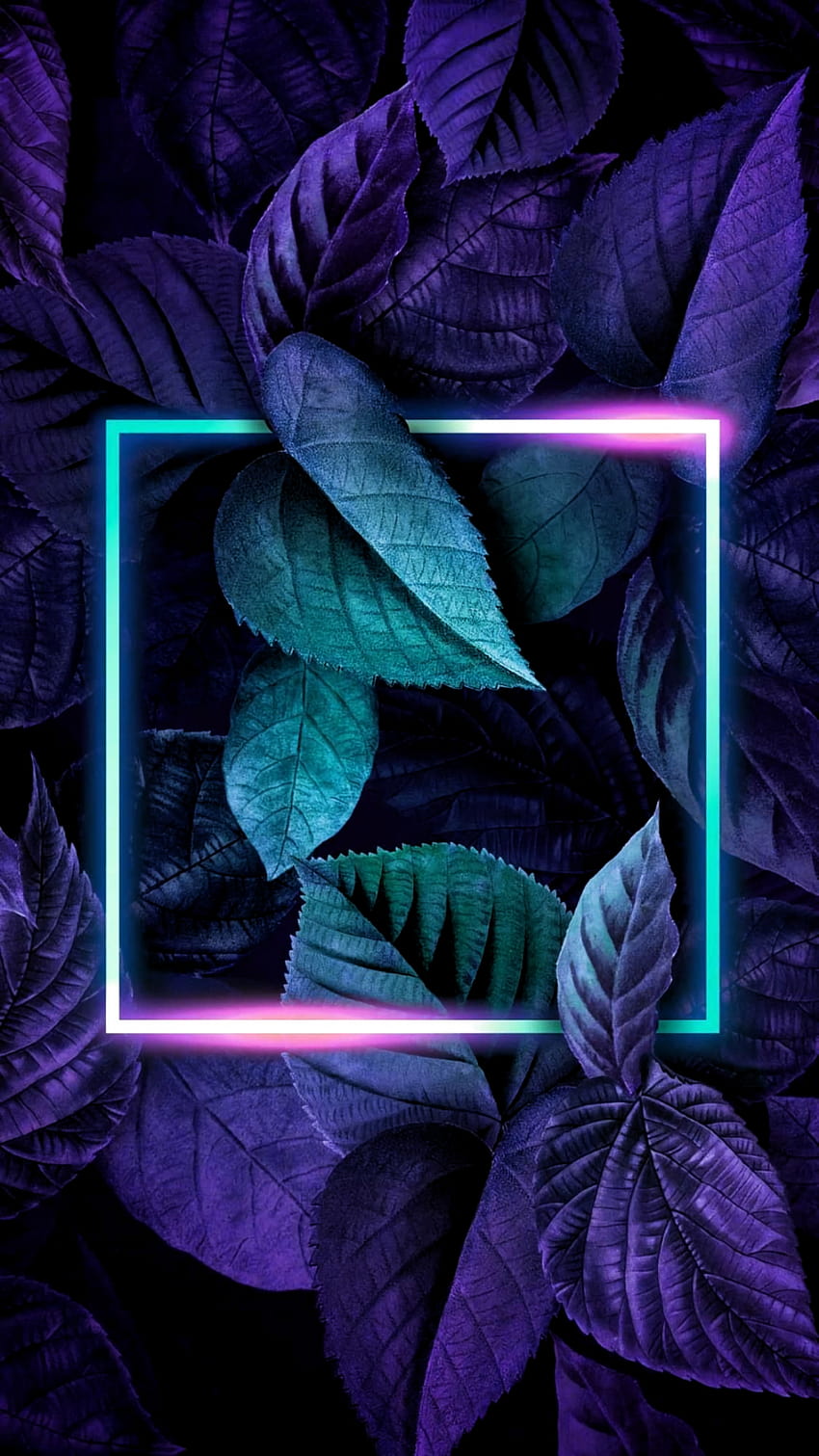 Phone und Hintergründe, tunnel végétal violet ultra esthétique Fond d'écran de téléphone HD