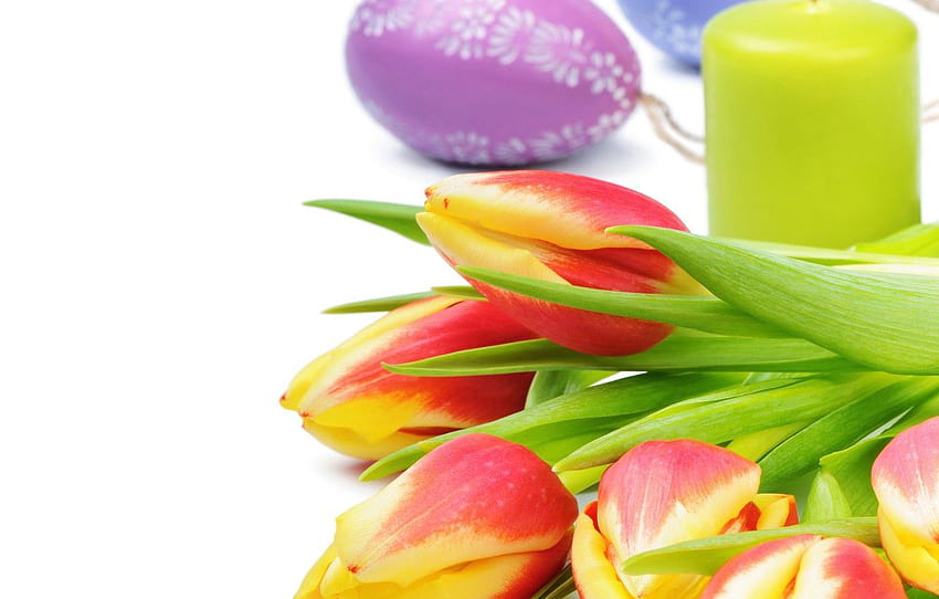 flowers, candle, spring, Easter, tulips, Easter, Tulips, Candles , section праздники, spring candle HD wallpaper