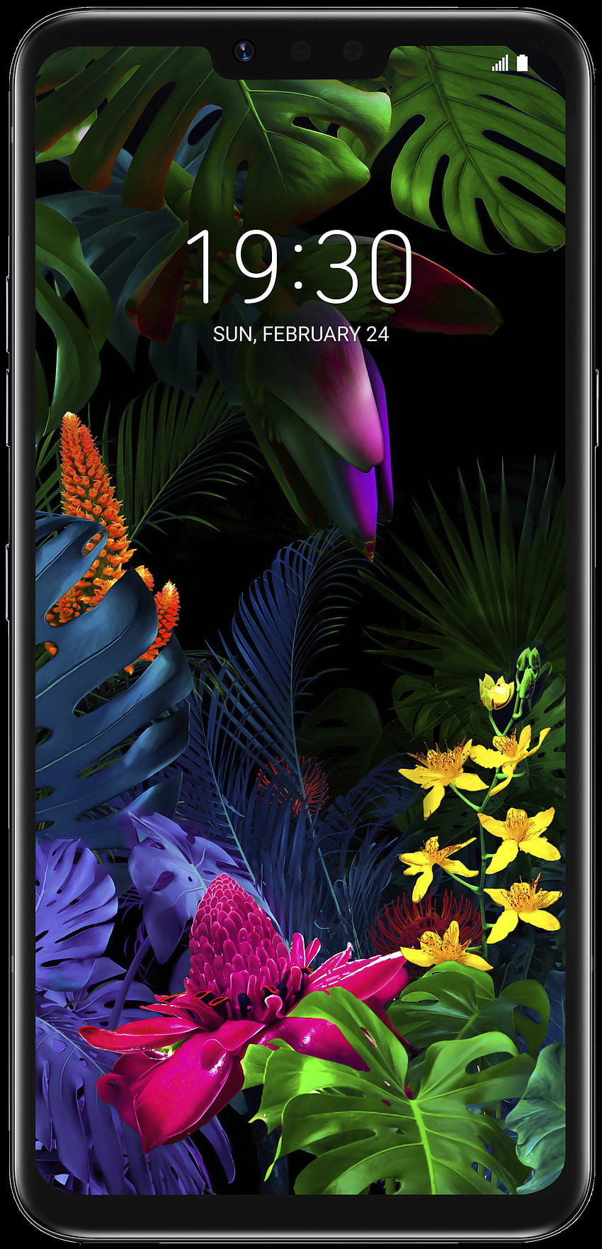 LG G8 ThinQ HD phone wallpaper