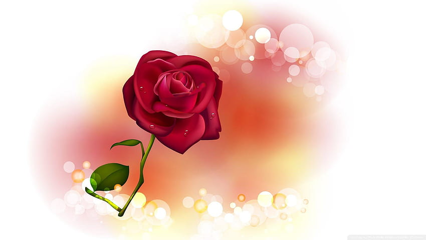 by May Rahim and mobile, rose downlod HD wallpaper