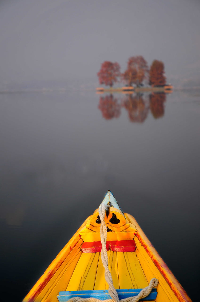 Езерото Дал в Кашмир, char chinar HD тапет за телефон